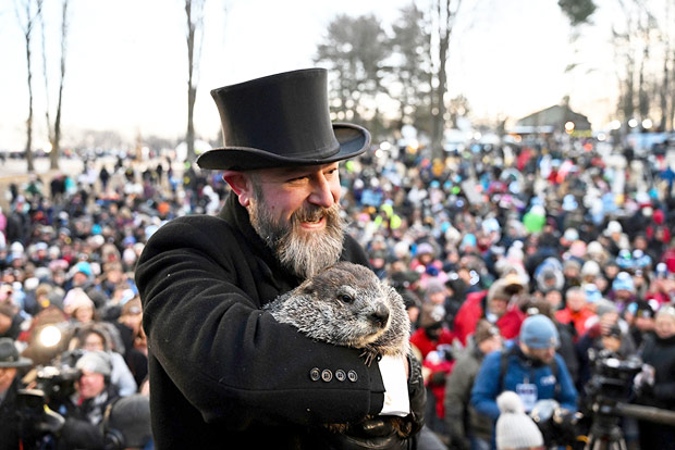 Punxsutawney Phil